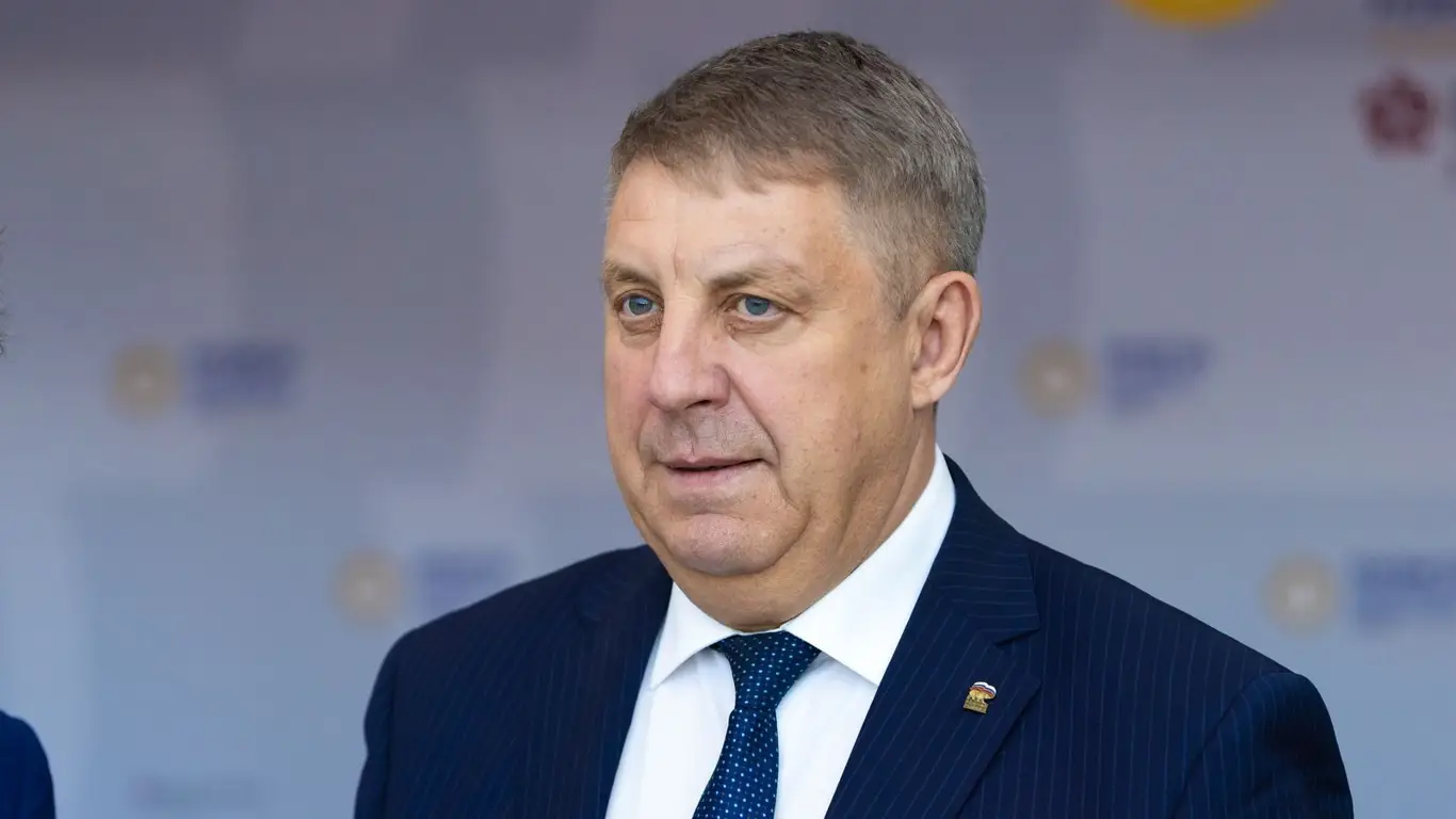 В Брянской области уничтожен украинский беспилотник