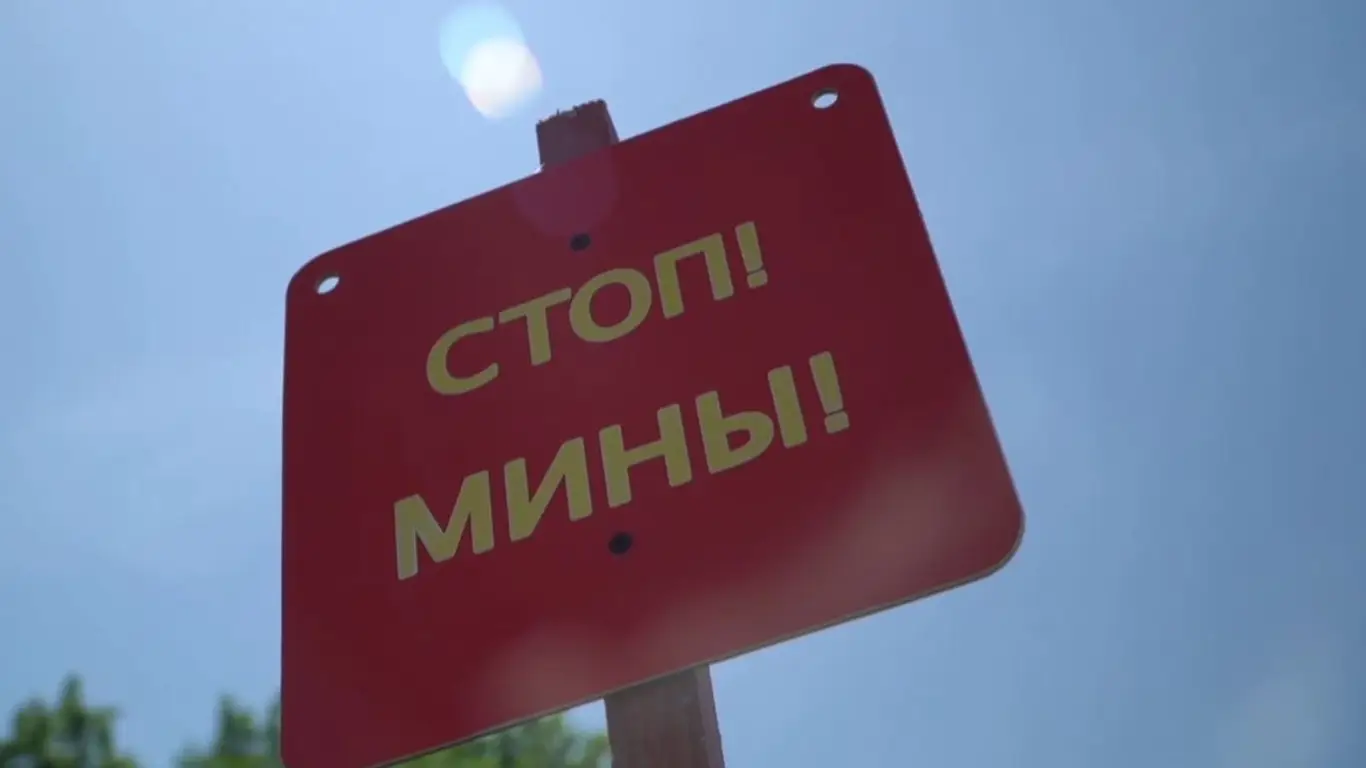 Эксперт объяснил уникальность минных полей на Украине