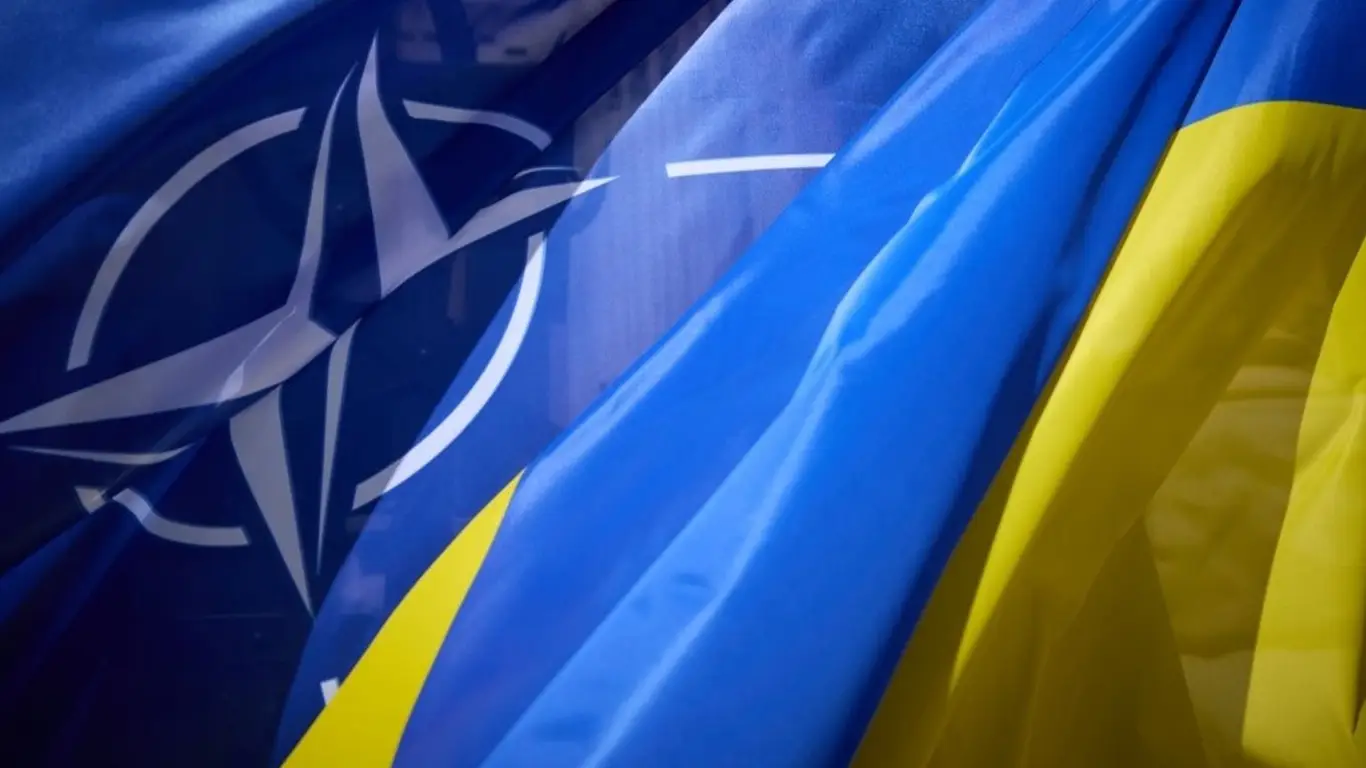 НАТО – морковка. Экс-депутат рады сравнил Украину с ослом