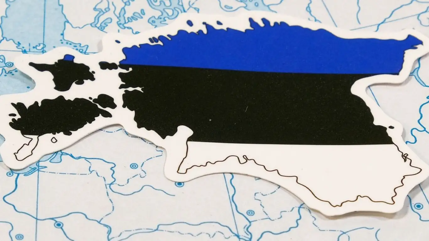 Стало известно, как Эстония ограждается от «российской агрессии»