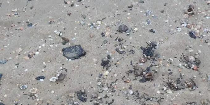 В Анапе зафиксировали повторные выбросы мазута В Анапе зафиксировали повторные выбросы мазута